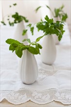 Fresh mint and parsley in vases.