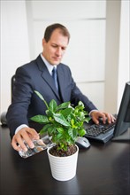 Businessman watering plant on desk.