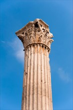 Greece, Athens, Corinthian column of Temple of Olympian Zeus.