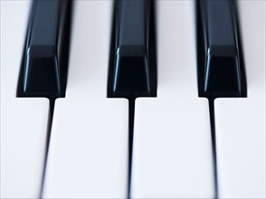 Close up of piano keys. Photo : Daniel Grill