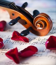 Close up of violin scroll and rose petals on sheet music. Photo: Daniel Grill