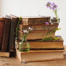Flowers on old books.