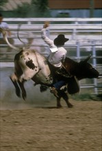 USA, Colorado, Rodeo rider in action. Photo: John Kelly