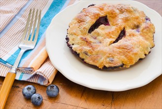 Home made blueberry pie with blueberries.