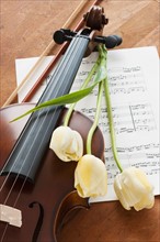 Violin and tulips on sheet music.