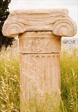 Greece, Athens, Acropolis, Ionic column.