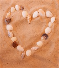 Close up of heart shape made of shells on sand. Photo : Daniel Grill