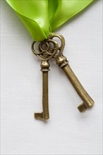 Studio shot of old-fashioned keys. Photo : Kristin Lee
