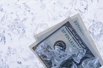 Studio shot of one hundred dollar bill between ice cubes. Photo : Kristin Lee