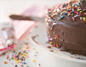 Close up of chocolate cake with sprinkles. Photo : Jamie Grill