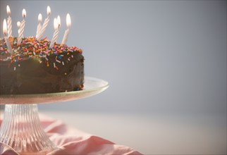 Close up of chocolate birthday cake with candles. Photo: Jamie Grill