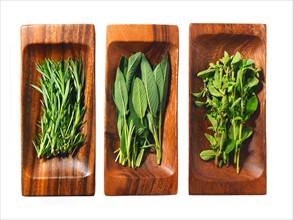 Studio shot of herbs on wooden trays. Photo : David Arky