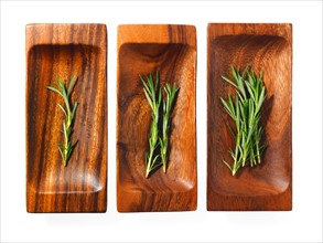 Studio shot of rosemary on wooden trays. Photo : David Arky