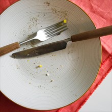 Close up of empty plate after meal. Photo : Jamie Grill