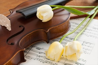 Violin and tulips on sheet music.