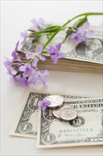 Flowers and coins on dollar bills.