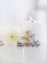 Candle, aster flower and lavender. Photo : Jamie Grill