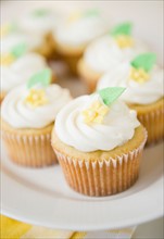 close up cupcakes. Photo : Jamie Grill