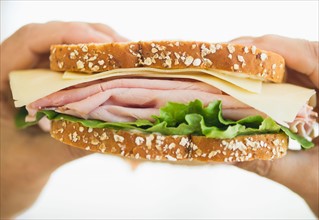 Hands holding turkey sandwich.