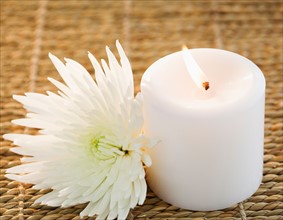Candle and white aster. Photo: Jamie Grill