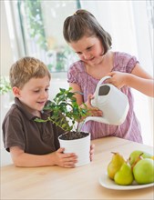Close up of girl (6-7) and boy (4-5) watering plant in kitchen. Photo : Daniel Grill
