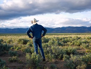 USA, Utah, Rear view of man standing in desert landscape. Photo : John Kelly