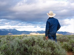 USA, Utah, Rear view of man standing in desert landscape. Photo: John Kelly