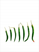 Studio shot of Green Chili Peppers on white background. Photo: David Arky