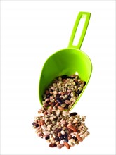 Studio shot of scoop with Mixed Seeds on white background. Photo: David Arky