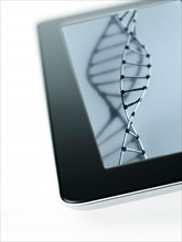 Studio shot of DNA model on digital tablet. Photo: David Arky
