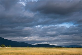USA, California, Lassen County, Dramatic sky over pasture. Photo : Gary J Weathers