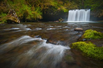 USA, Oregon, Scenic view of Upper Butte Creek Falls. Photo: Gary J Weathers