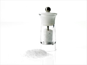 Studio shot of salt grinder. Photo: David Arky