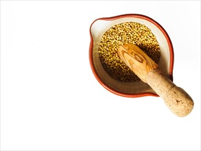 Studio shot of Mortar and Pestle with Mustard Seeds on white background. Photo : David Arky