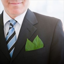 Close up of businessman with leaf in pocket square. Photo : Jamie Grill