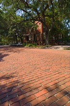 USA, Georgia, Savannah, Street made of red brick.