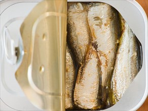 Close up of sardines in can. Photo: Jamie Grill