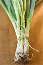 Close up of bunch of scallions. Photo : Jamie Grill