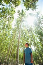 USA, Oregon, Boardman, Boy (8-9) looking up at poplar trees. Photo: Erik Isakson