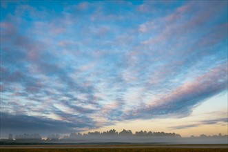 USA, Oregon, Marion County, Field at sunrise. Photo: Gary J Weathers