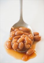 Close up of baked beans on spoon. Photo : Jamie Grill