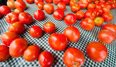 Tomatoes on table.