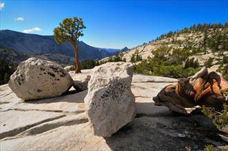 USA, California, Tioga Pass, Granite boulders. Photo : Gary J Weathers