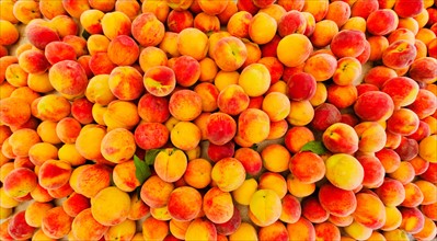 Heap of peaches.