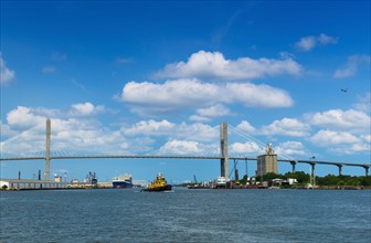 USA, Georgia, Savannah, Tamadge Bridge over Savannah River.