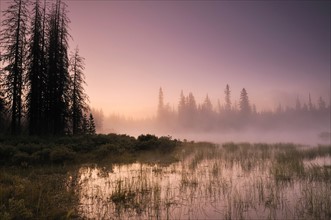 USA, Oregon, Foggy landscape at dawn. Photo: Gary J Weathers