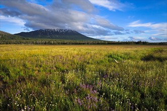 USA, Oregon, Mt. Bachelor and meadow. Photo: Gary J Weathers