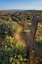 USA, Oregon, Old fence in desert. Photo : Gary J Weathers