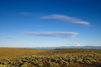 USA, Oregon, Desert landscape. Photo: Gary J Weathers