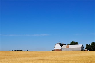 USA, Oregon, Marion County, Farm under blue sky. Photo: Gary J Weathers